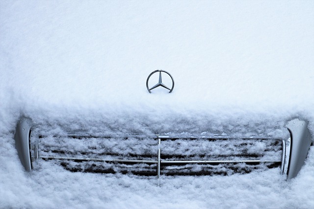 winter